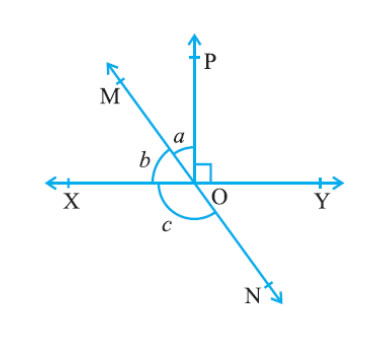 Image Class 10 Chapter 6 mathematics