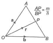 Section Formula