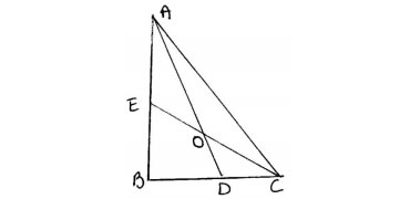 angle bisectors 