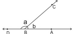 linear pair