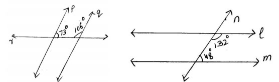 which of the two lines are parallel and why