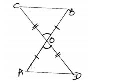 SAS congruence Rul  example