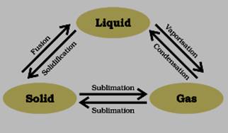 class 9 Matter In Our Surrounding Science ncert solutions