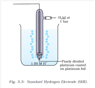 standard hydrogen electrode